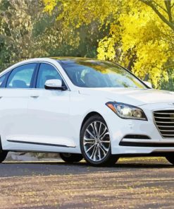 White Hyundai Genesis Car Paint By Numbers