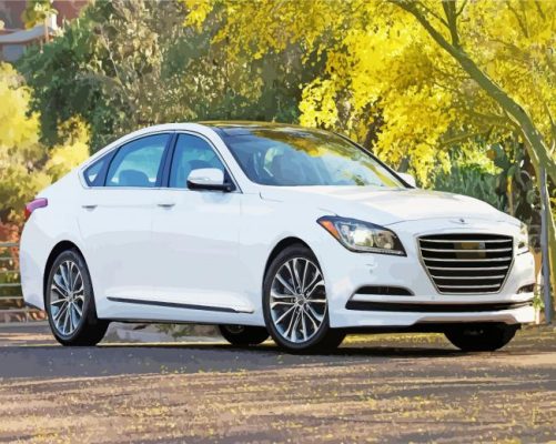 White Hyundai Genesis Car Paint By Numbers