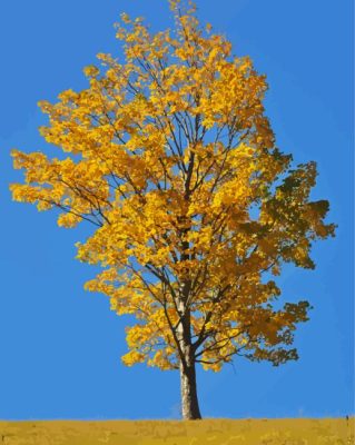 Tree During The Golden Season Paint By Numbers