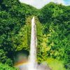 Akaka Falls Big Island Hawaii Paint By Numbers