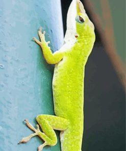 Anole Lizard On Tree Paint By Numbers