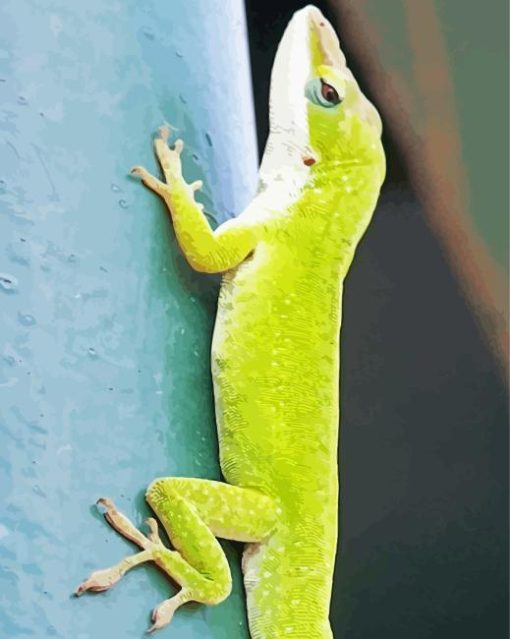 Anole Lizard On Tree Paint By Numbers