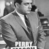 Perry Mason Poster Paint By Numbers