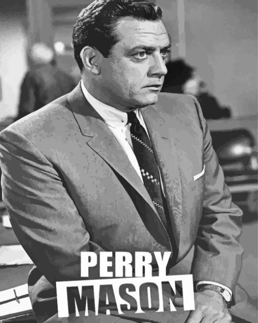 Perry Mason Poster Paint By Numbers