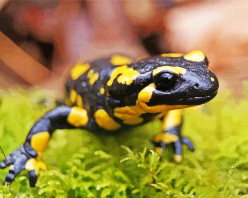 Black And Yellow Salamander Paint By Numbers