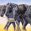 Black Percheron Horses Paint By Numbers