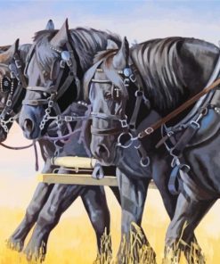 Black Percheron Horses Paint By Numbers