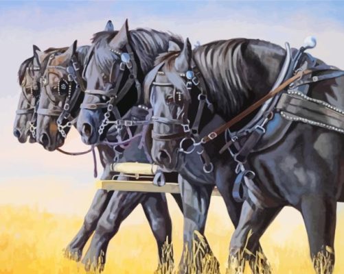 Black Percheron Horses Paint By Numbers