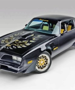 Burt Reynolds Pontiac Firebird Paint By Numbers