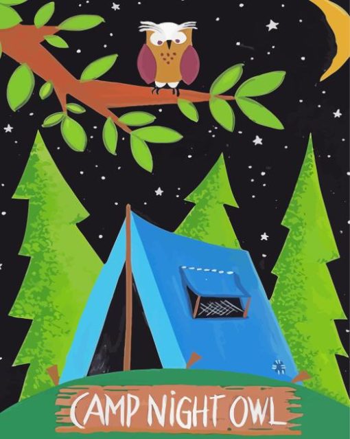 Camp Night Owl Paint By Numbers