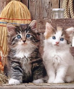 Two Kittens In A Barn Paint By Numbers