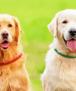 Golden And Cream Retriever Paint By Numbers