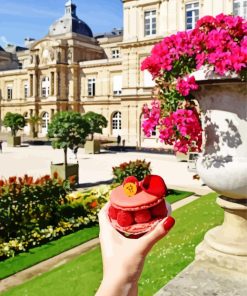 Jardin Du Luxembourg View Paint By Numbers