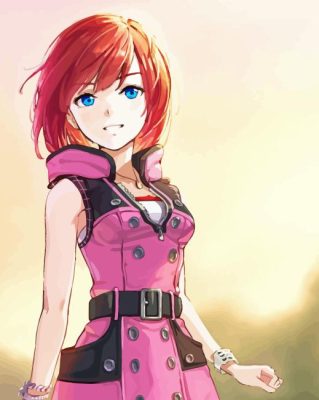 Kairi Character Paint By Numbers