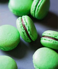 Matcha Maccaroons Paint By Numbers