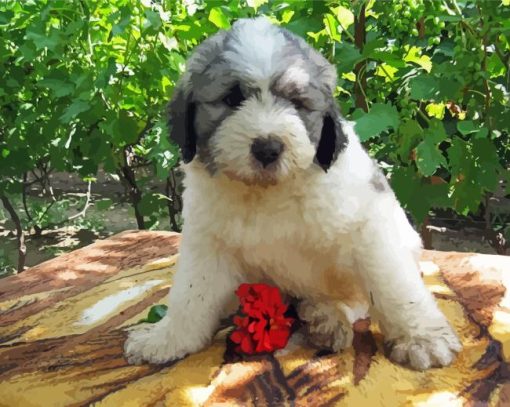 Romanian Shepherd Dog Puppy Paint By Numbers