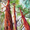 Sequoia National Forest Trees Paint By Numbers