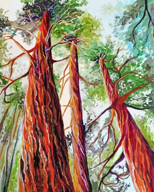 Sequoia National Forest Trees Paint By Numbers