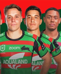 South Sydney Rabbitohs Paint By Numbers