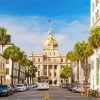 Town Hall Savannah Paint By Numbers