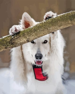 Swiss Shepherd Holding Branch Paint By Numbers