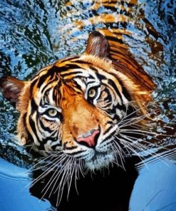 Wild Tiger In Water Paint By Numbers