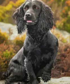 Aesthetic Working Spaniel Paint By Numbers