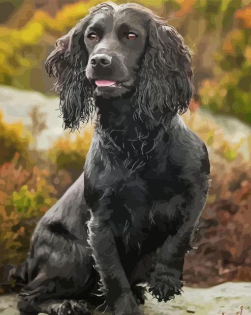 Aesthetic Working Spaniel Paint By Numbers