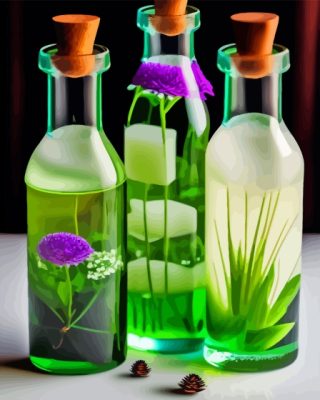 Aesthetic Botanical Glass Bottles Paint By Numbers