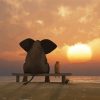 Elephant And Dog Sunset Paint By Numbers