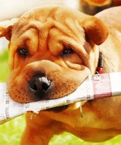 Brown Dog With Newspaper Paint By Numbers