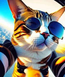 Cool Cat Skydiving Paint By Numbers