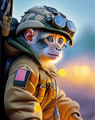 Cute Military Monkey Paint By Numbers