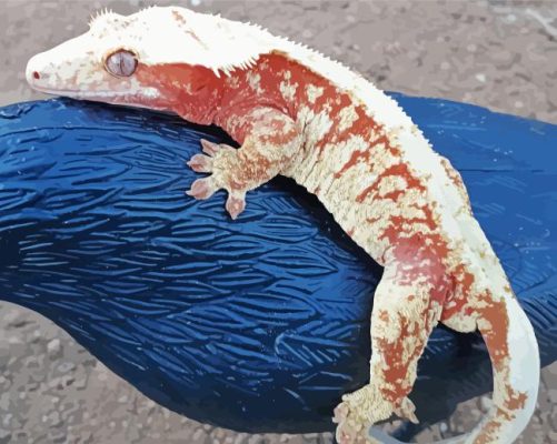 Lilly White Crested Gecko Paint By Numbers