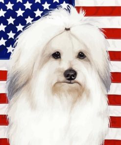 Patriotic Coton De Tulear Paint By Numbers