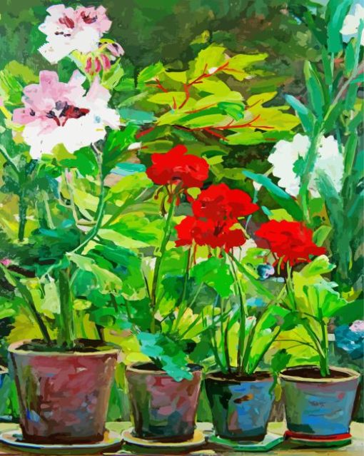 Potted Flowers In Garden Paint By Numbers