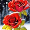 Red Roses In Snow Paint By Numbers