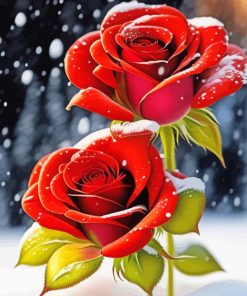 Red Roses In Snow Paint By Numbers