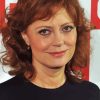 The Actress Susan Sarandon Paint By Numbers