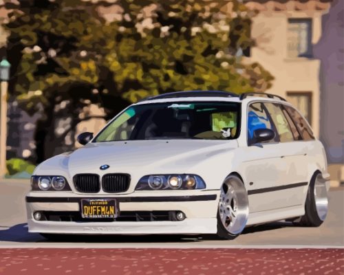 White E39 Car Paint By Numbers