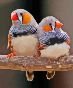 Zebra Finch Couple Paint By Numbers