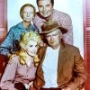 Beverly Hillbillies Paint By Numbers