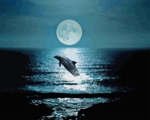 Dolphin At Night Paint By Numbers