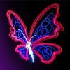 Light Butterfly Paint By Numbers