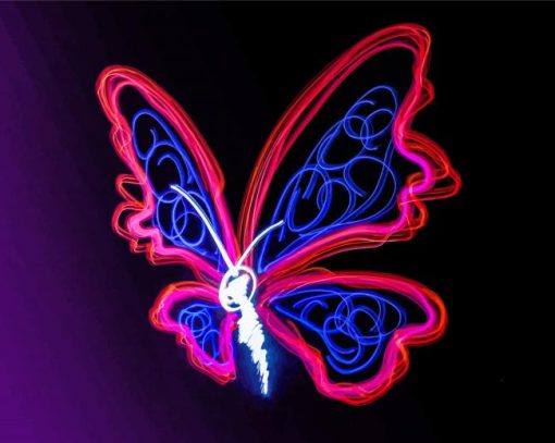 Light Butterfly Paint By Numbers