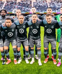 Minnesota United FC Football Team Paint By Numbers