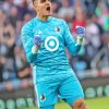 Minnesota United FC Goalkeeper Paint By Numbers