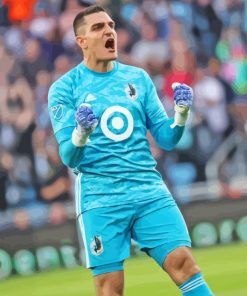 Minnesota United FC Goalkeeper Paint By Numbers