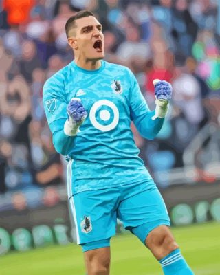 Minnesota United FC Goalkeeper Paint By Numbers