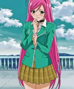 Rosario Vampire Paint By Numbers